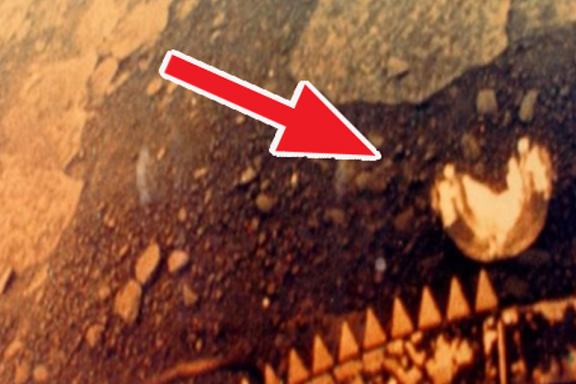 Russian Researchers Discovers a Creature on Venus