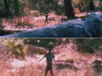 Skinwalker creature spotted in Albuquerque, New Mexico_VIDEO